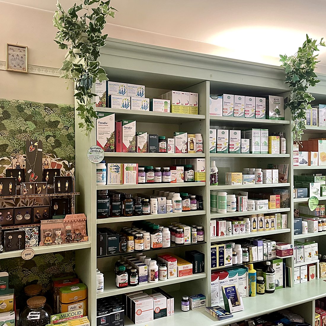 Gli scaffali verde salvia dietro al banco di Erba Amica, pieni di integratori ed estratti vegetali